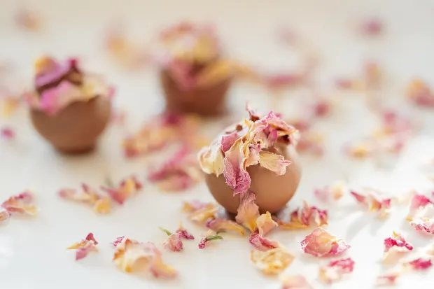 Pedalada10 Casino Android/iOS-app